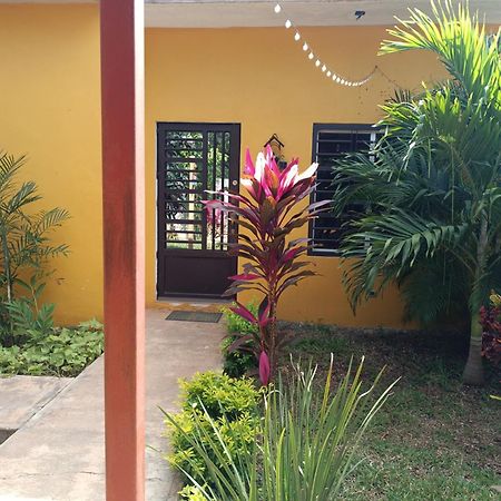 בקאלאר Casa Flores מראה חיצוני תמונה